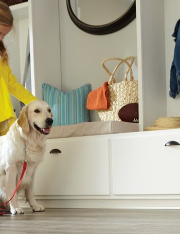 Family friendly laminate floors in Independece MO from Blue Springs Carpet & Tile