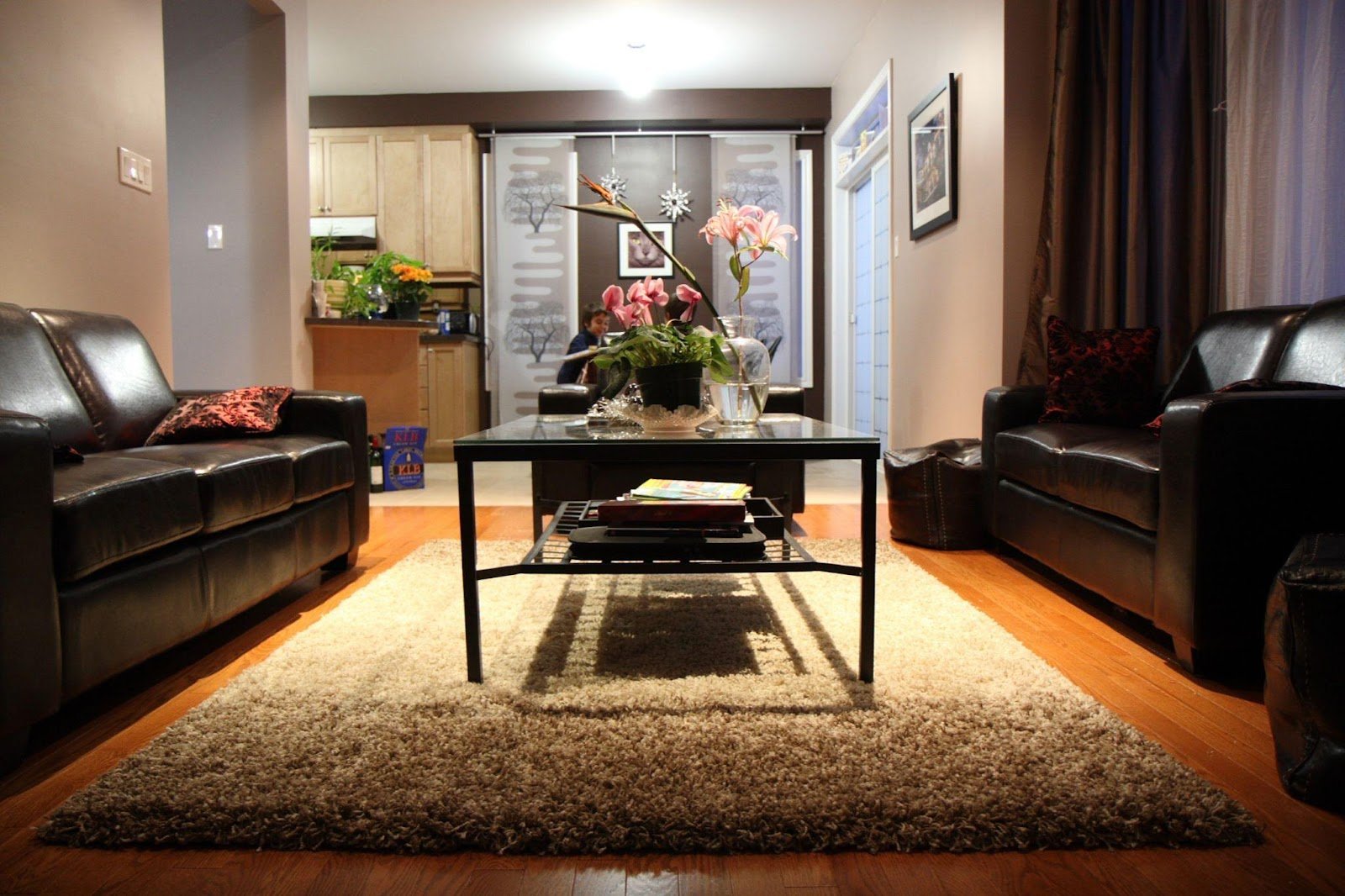 Area Rug in Living Room