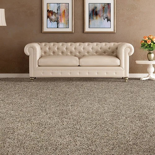 Blue Springs Carpet & Tile providing easy stain-resistant pet proof carpet in Blue Springs, MO