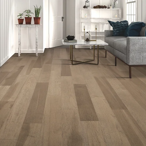 Blue Springs Carpet & Tile providing pet-friendly waterproof vinyl flooring in Blue Springs, MO